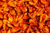 Shrimp Creole is a favorite Louisiana dish.