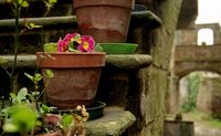 Terra cotta is a feature of Mediterranean and Western decor.