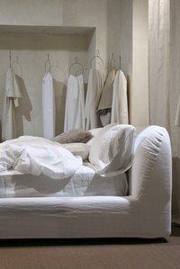 Bed bugs can live in your bed and surrounding areas.
