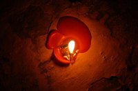 Diwali falls in October or November each year.