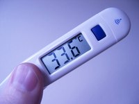 Digital thermometers make temperature measurement a quick and easy process.