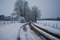 Painting snow scenes is a relatively easy acrylic project for beginning painters.