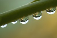 Air humidity determines the temperature at which water vapor turns into dew.