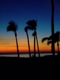 The Gulf of Mexico is situated between Florida and Mexico.