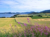 Good farmland is optimum for plants and animals to grow