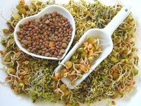 Sprouts are delicious in sandwiches, salads or a number of hot dishes.