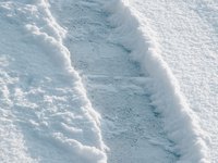 Keep your sidewalks clear of snow to prevent ice from forming.
