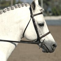 This horse's "button" braids are perfect for the dressage arena.