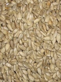 Sunflower seeds can be seasoned or eaten plain.