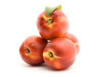 Growing peaches in South Dakota