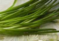Grow green onions for their flavorful leaf stalks.