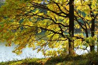 A season's impact on the ecosystem is quite minor until you factor in climate change.
