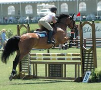 Building your own jumping standards is inexpensive and rewarding.