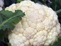 Cauliflower is high in nutrients that help the thyroid function properly.