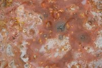 Septic tanks help remove solid waste water from homes.