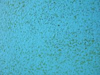 Paint overspray can coat any surrounding areas.