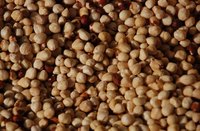 Hazelnuts can be used in many different recipes.