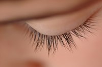 Eyelash mites can cause irritation.