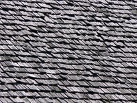 Tamko Heritage shingles come with a 30-year or 50-year warranty.