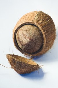 Coconuts make prized catches in some parades: they’re tossed to select parade-goers.