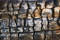 Active charcoal can be used to absorb unwanted moisture.