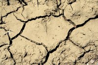A thorough soaking will start to soften severely cracked soil.