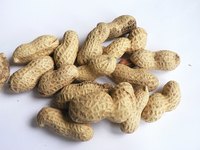 A peanut costume is simple to make and fun to wear.