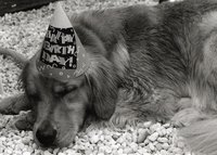 The busy pace of modern life makes it easy for almost anybody to occasionally forget an important birthday.