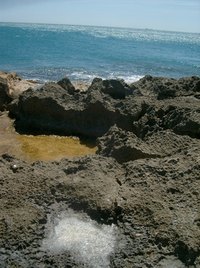 Rock salt has a gray color and a bold flavor.