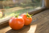 Repairing window sill damage is typically simple.