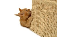 Consider making your cat a play area of her own.