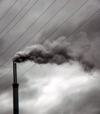 Chemicals and particulates in air pollution can damage or kill plants.