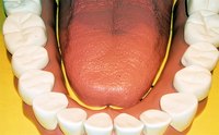 A dentist must attend dental school for four years before he can start practicing.