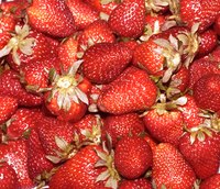Freshly picked strawberries can be quite delicious.