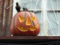 Attend a costume party as a member of Mystery Inc.