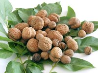 The foliage from a black walnut tree can be deadly to horses.