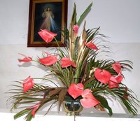 Flowers enhance any room and any occasion.