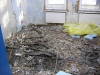 Any Asbestos containing material (ACM) must be removed prior to demolition or renovation of a building