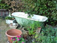 Bathtubs make attractive vegetable garden beds