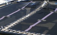 Tarp with grommets