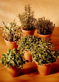 Selling herbs can be a fun and rewarding business.