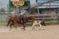 Rodeo riders earn scholarships through hard-luck honors.