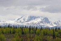 Alaska is known for its cold temperatures, but it sees hot days too.
