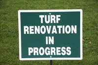 Artificial turf can last for many years if properly maintained.