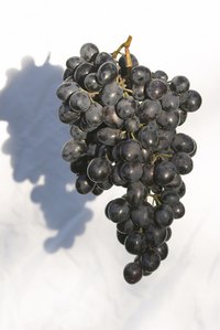 Dry your Concord grapes so you have plenty of raisins to eat.
