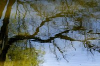 Paint rippled and distorted reflections of nearby objects to create the effect of water.