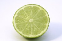 Can the bite of a lime disinfect a wound?