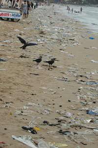 ISO 14001 process development and certification can help to reduce the risk of environmental degredation.