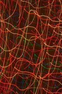 A web of lights can make outdoor decorating easy.