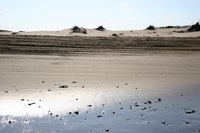 North Carolina's Outer Banks are about 250 miles from Greensboro.